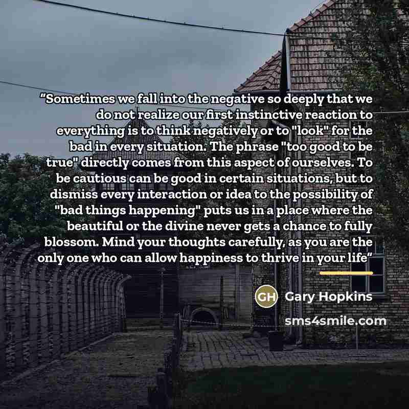 “Sometimes we fall into the negative so deeply that we do not realize our first instinctive reaction to everything is to think negatively or to "look" for the bad in every situation. The phrase "too good to be true" directly comes from this aspect of ourselves. To be cautious can be good in certain…” quote by Gary Hopkins