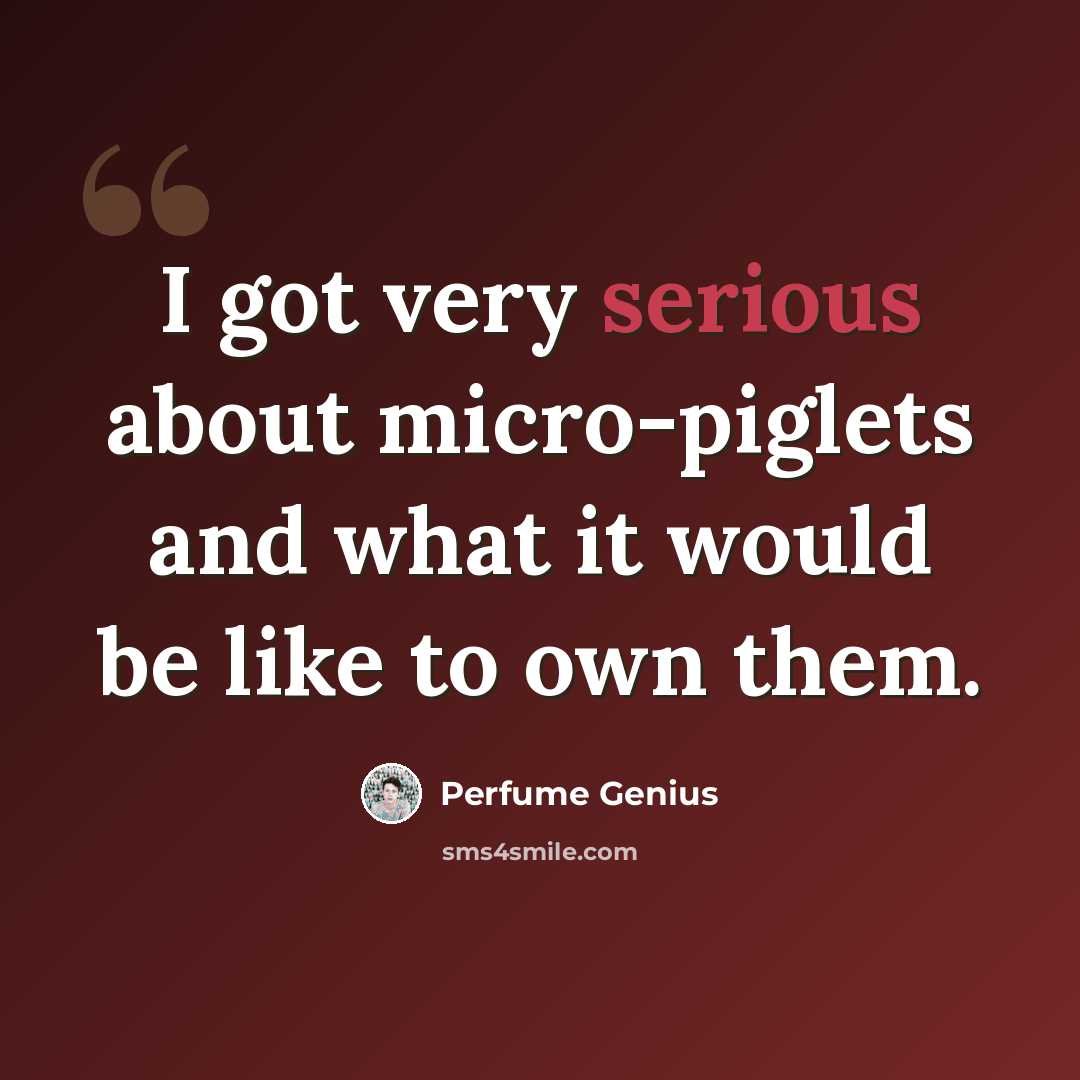 “I got very serious about micro-piglets and what it would be like to own them.” quote by Perfume Genius