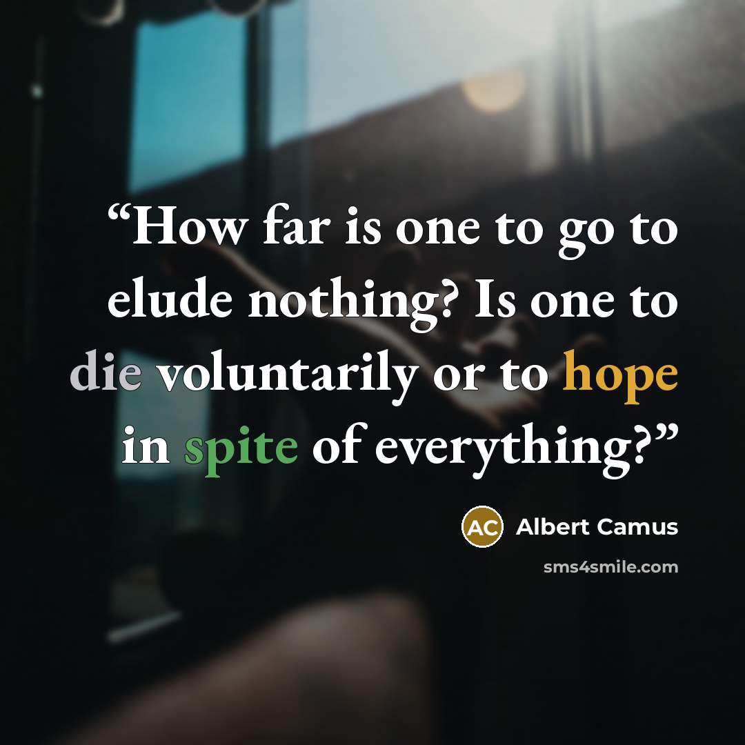“How far is one to go to elude nothing? Is one to die voluntarily or to hope in spite of everything?” quote by Albert Camus