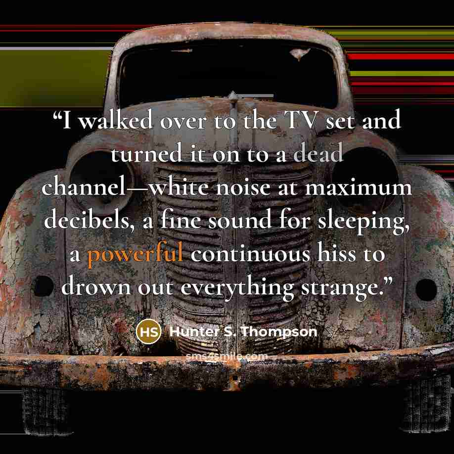 “I walked over to the TV set and turned it on to a dead channel—white noise at maximum decibels, a fine sound for sleeping, a powerful continuous hiss to drown out everything strange.” quote by Hunter S. Thompson
