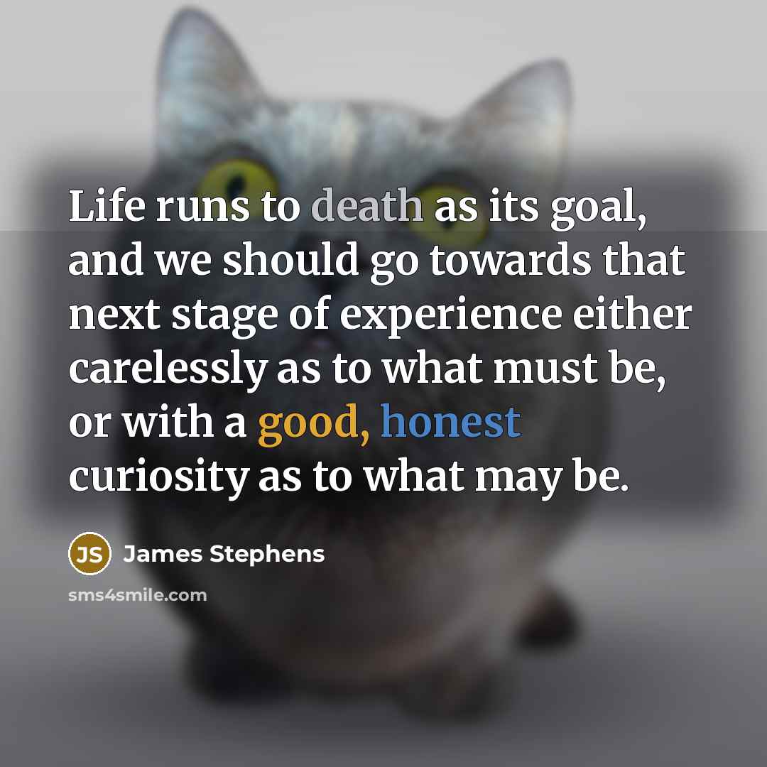 “Life runs to death as its goal, and we should go towards that next stage of experience either carelessly as to what must be, or with a good, honest curiosity as to what may be.” quote by James Stephens