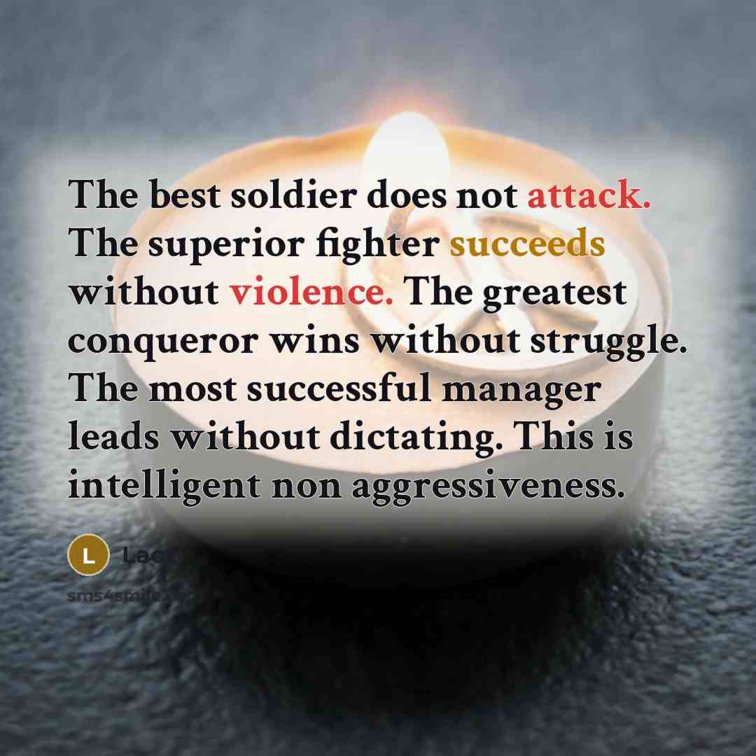 “The best soldier does not attack. The superior fighter succeeds without violence. The greatest conqueror wins without struggle. The most successful manager leads without dictating. This is intelligent non aggressiveness.” quote by Laozi