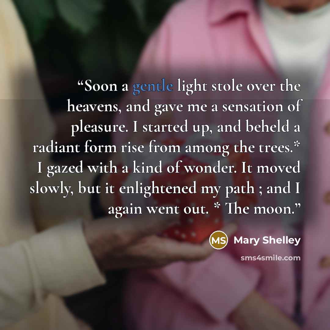 “Soon a gentle light stole over the heavens, and gave me a sensation of pleasure. I started up, and beheld a radiant form rise from among the trees.* I gazed with a kind of wonder. It moved slowly, but it enlightened my path ; and I again went out. * The moon.” quote by Mary Shelley