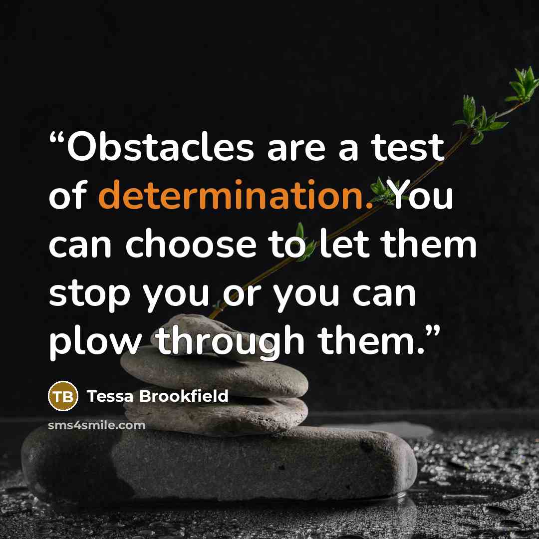 “Obstacles are a test of determination. You can choose to let them stop you or you can plow through them.” quote by Tessa Brookfield