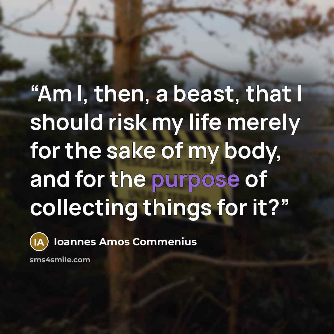 “Am I, then, a beast, that I should risk my life merely for the sake of my body, and for the purpose of collecting things for it?” quote by Ioannes Amos Commenius