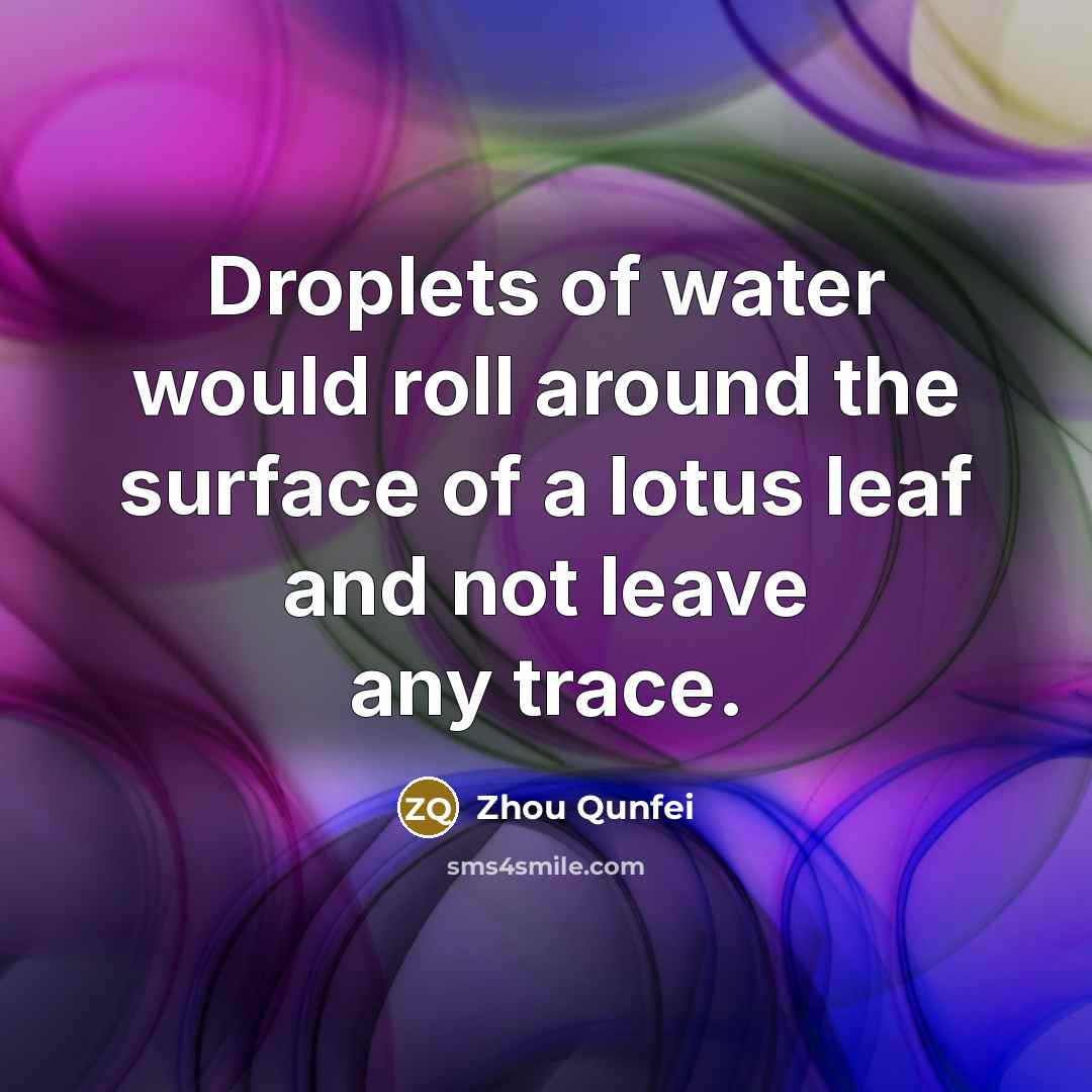 “Droplets of water would roll around the surface of a lotus leaf and not leave any trace.” quote by Zhou Qunfei