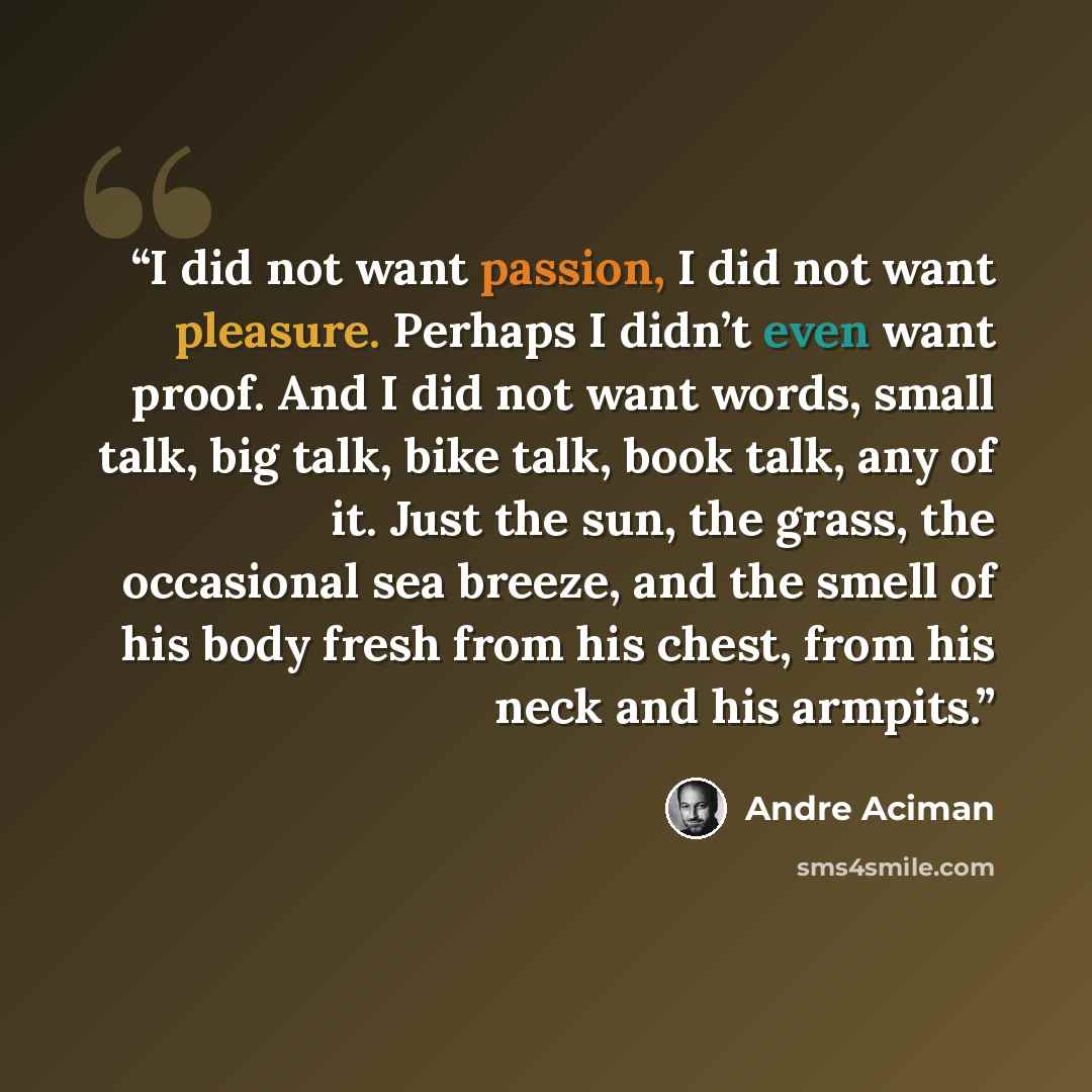 “I did not want passion, I did not want pleasure. Perhaps I didn’t even want proof. And I did not want words, small talk, big talk, bike talk, book talk, any of it. Just the sun, the grass, the occasional sea breeze, and the smell of his body fresh from his chest, from his neck and his armpits.” quote by André Aciman