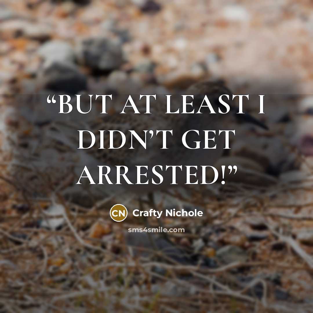 “BUT AT LEAST I DIDN’T GET ARRESTED!” quote by Crafty Nichole