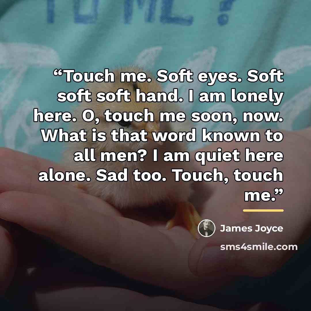“Touch me. Soft eyes. Soft soft soft hand. I am lonely here. O, touch me soon, now. What is that word known to all men? I am quiet here alone. Sad too. Touch, touch me.” quote by James Joyce