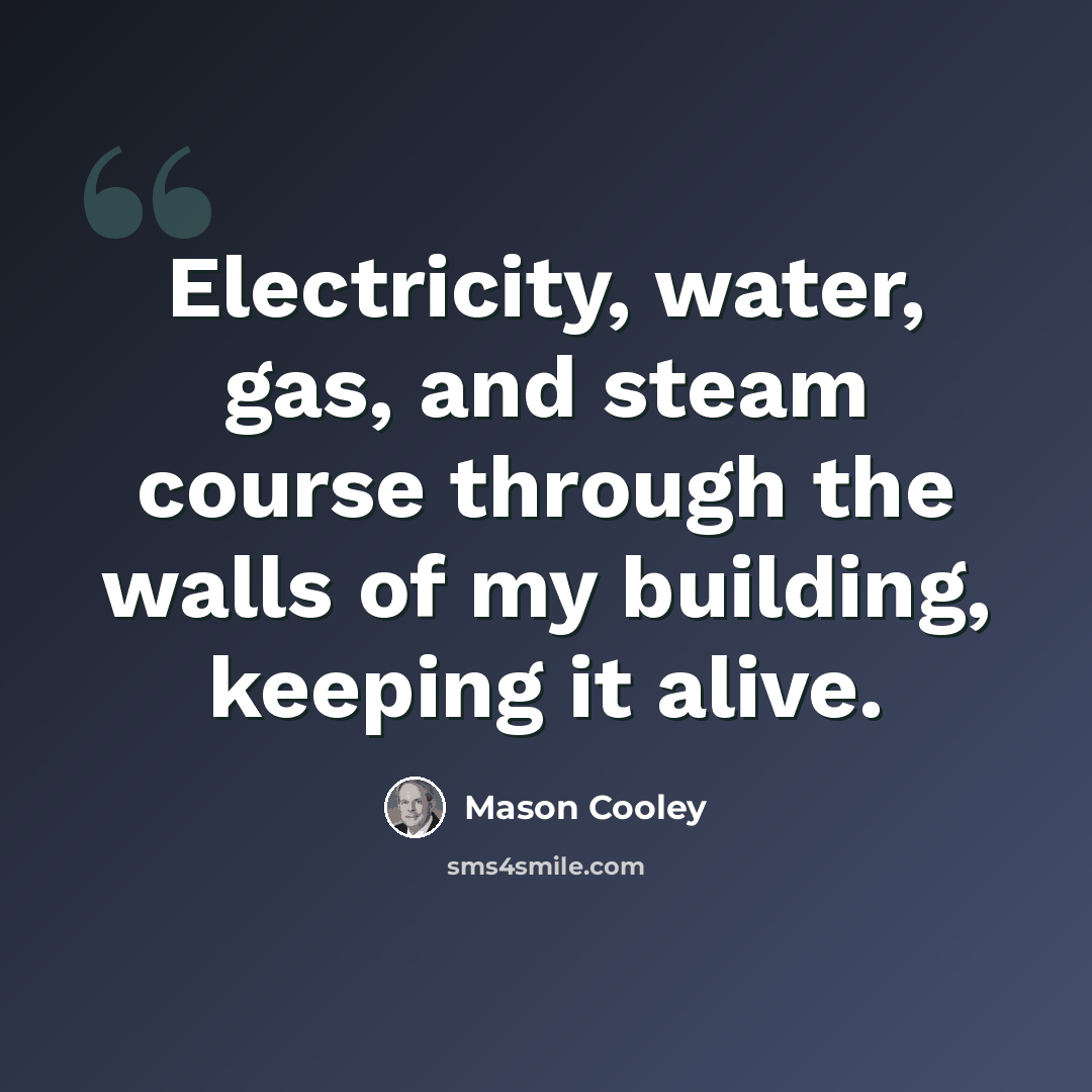 “Electricity, water, gas, and steam course through the walls of my building, keeping it alive.” quote by Mason Cooley
