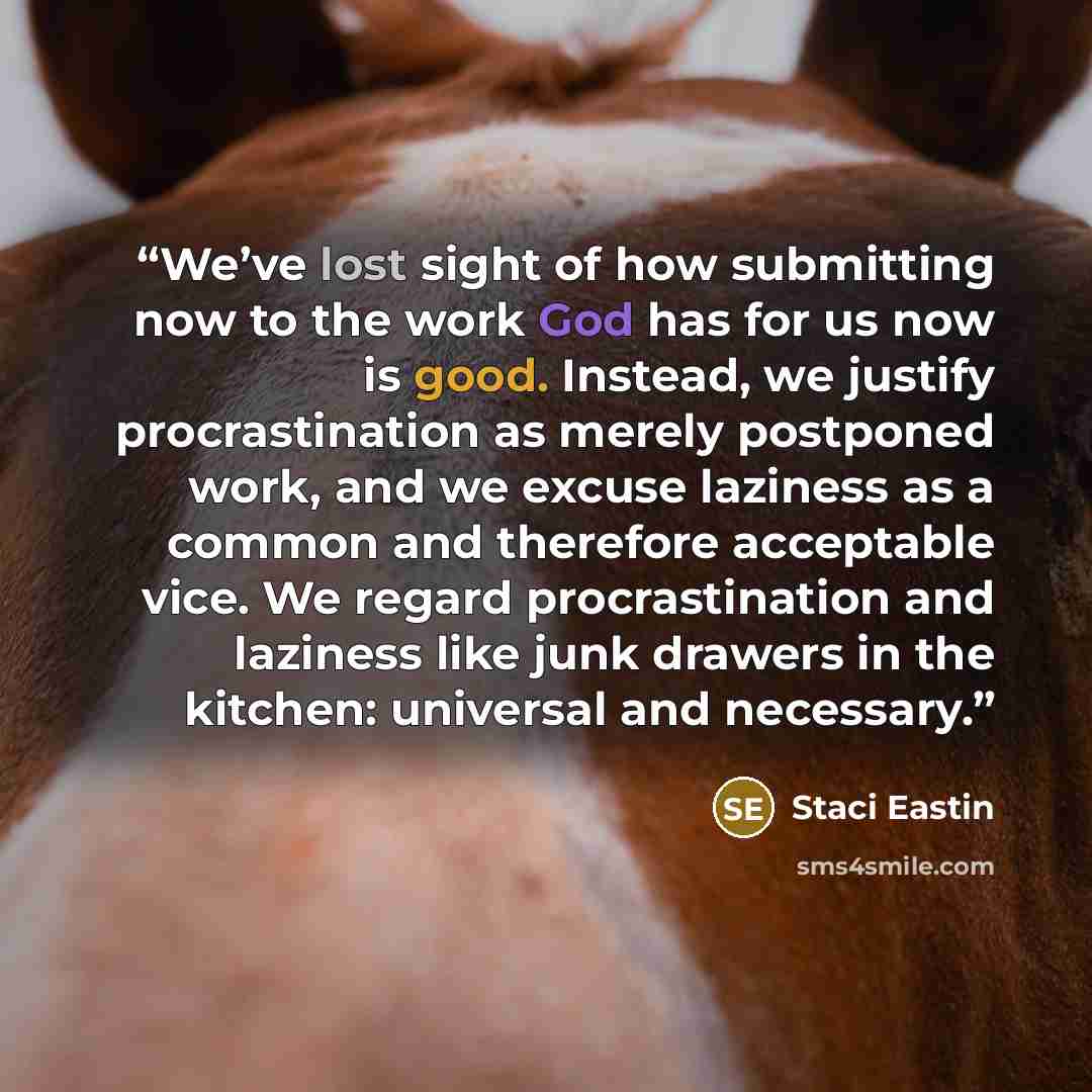 “We’ve lost sight of how submitting now to the work God has for us now is good. Instead, we justify procrastination as merely postponed work, and we excuse laziness as a common and therefore acceptable vice. We regard procrastination and laziness like junk drawers in the kitchen: universal and…” quote by Staci Eastin