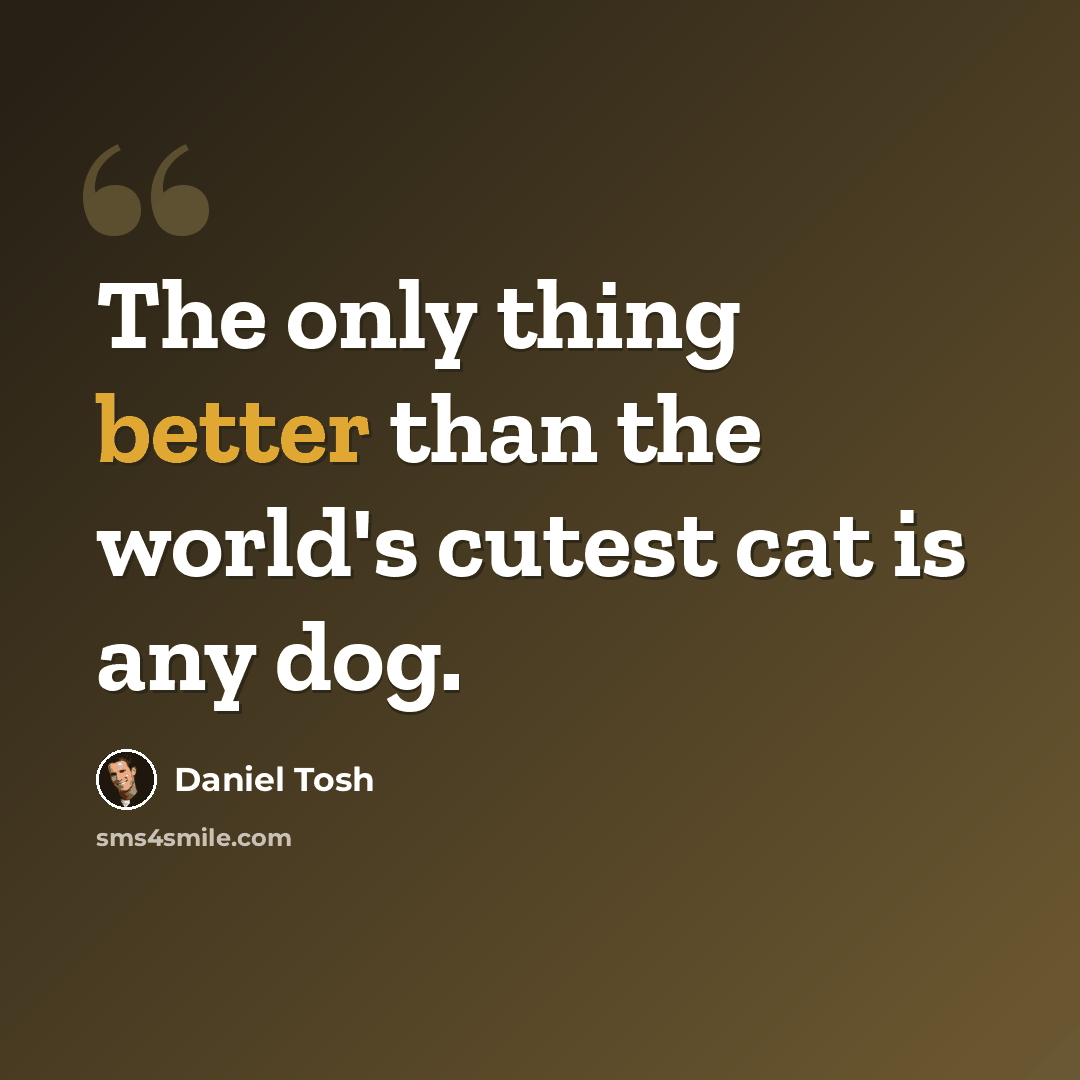 “The only thing better than the world's cutest cat is any dog.” quote by Daniel Tosh