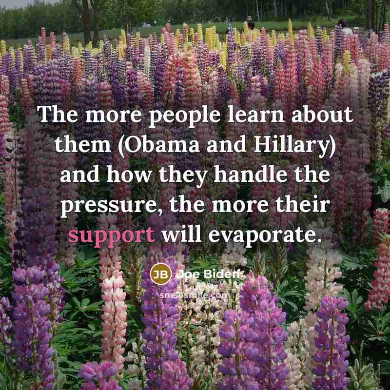 “The more people learn about them (Obama and Hillary) and how they handle the pressure, the more their support will evaporate.” quote by Joe Biden