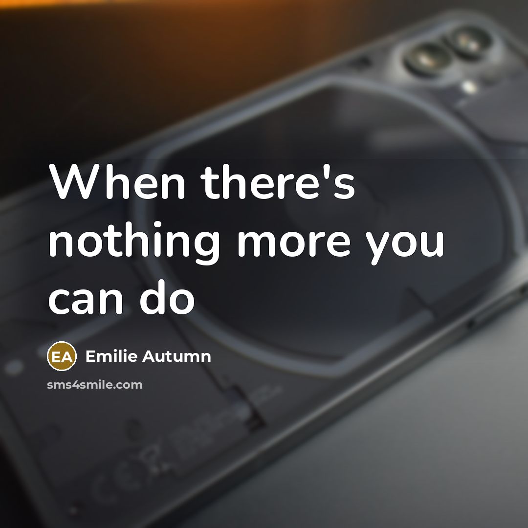 “When there's nothing more you can do” quote by Emilie Autumn