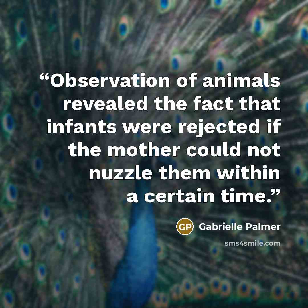 “Observation of animals revealed the fact that infants were rejected if the mother could not nuzzle them within a certain time.” quote by Gabrielle Palmer