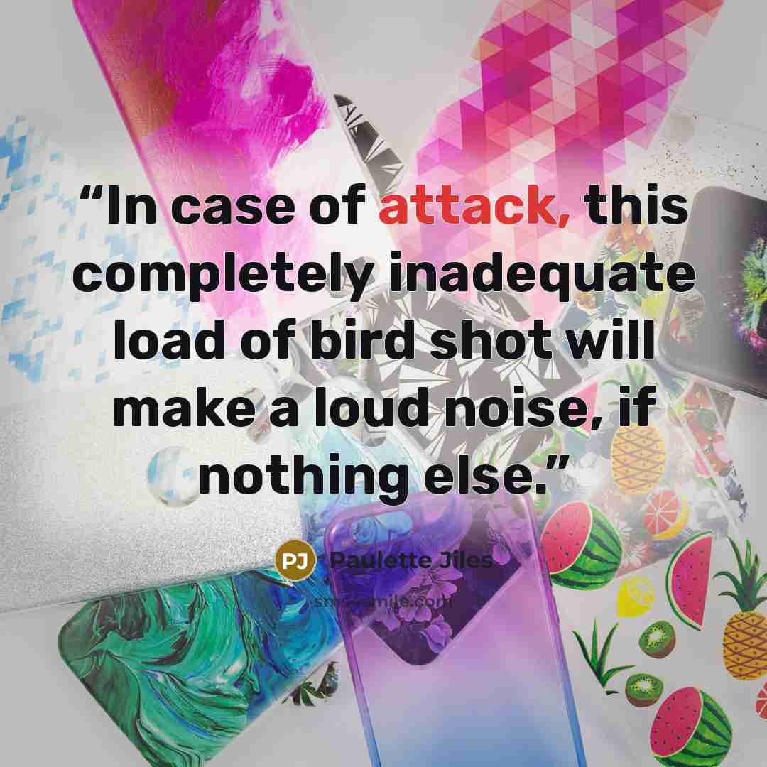 “In case of attack, this completely inadequate load of bird shot will make a loud noise, if nothing else.” quote by Paulette Jiles