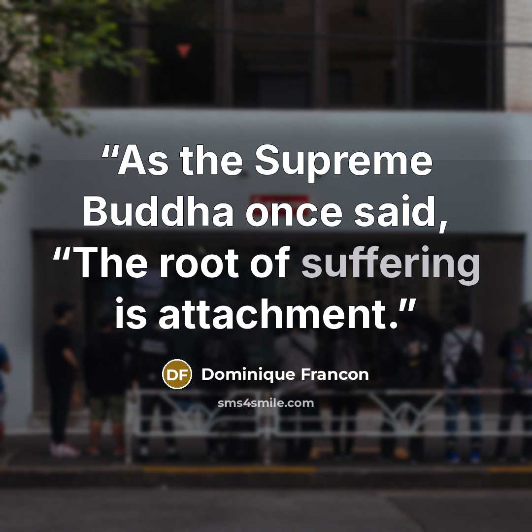 “As the Supreme Buddha once said, “The root of suffering is attachment.” quote by Dominique Francon