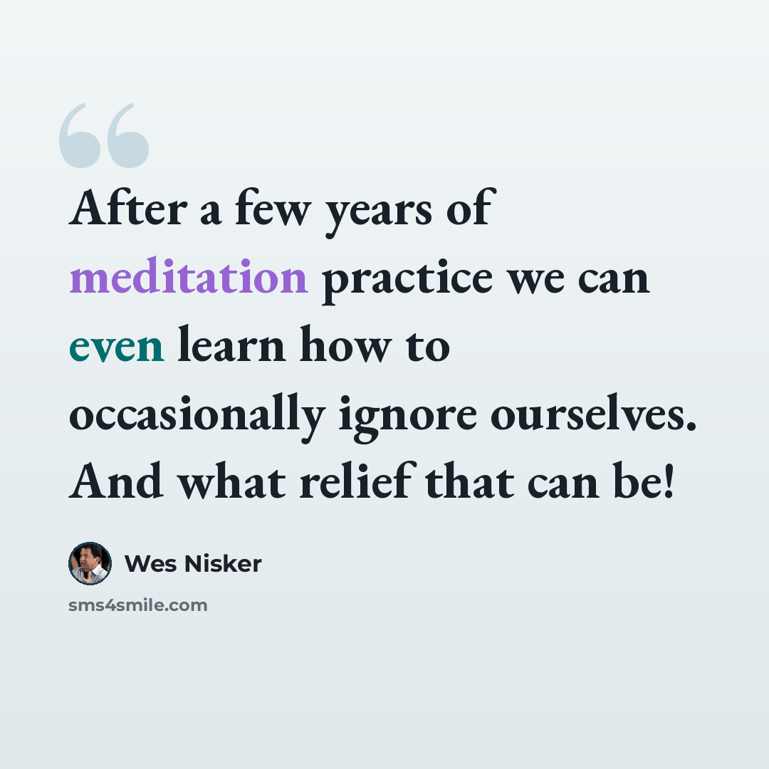 “After a few years of meditation practice we can even learn how to occasionally ignore ourselves. And what relief that can be!” quote by Wes Nisker