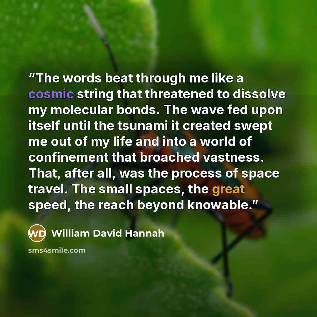 “The words beat through me like a cosmic string that threatened to dissolve my molecular bonds. The wave fed upon itself until the tsunami it created swept me out of my life and into a world of confinement that broached vastness. That, after all, was the process of space travel. The small spaces…” quote by William David Hannah