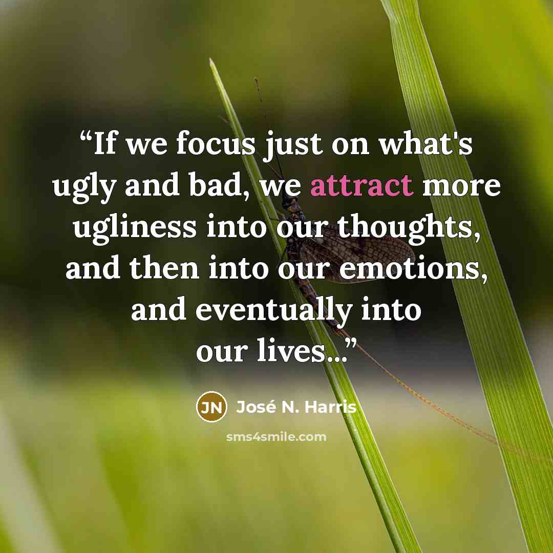 “If we focus just on what's ugly and bad, we attract more ugliness into our thoughts, and then into our emotions, and eventually into our lives...” quote by José N. Harris