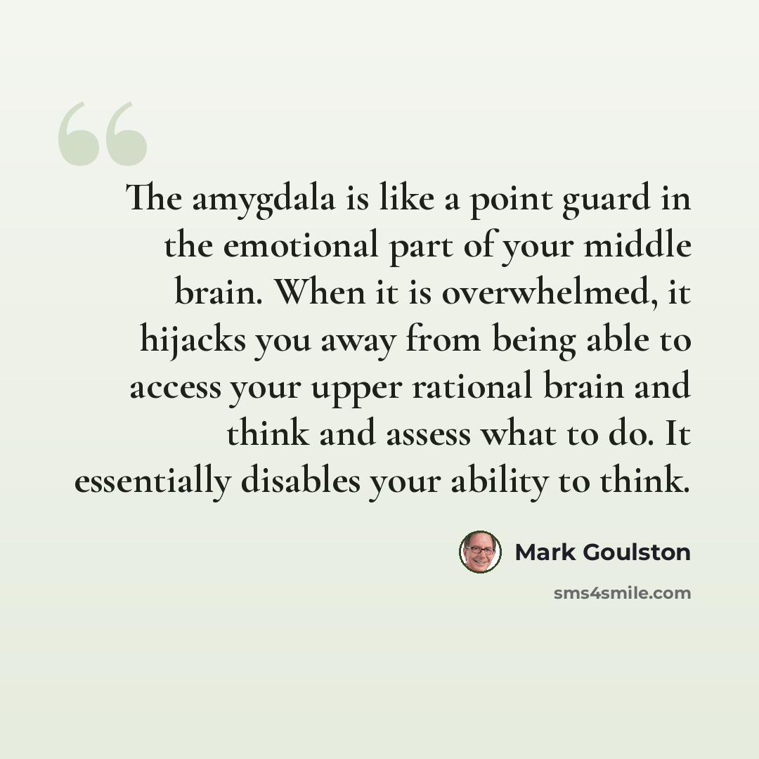 “The amygdala is like a point guard in the emotional part of your middle brain. When it is overwhelmed, it hijacks you away from being able to access your upper rational brain and think and assess what to do. It essentially disables your ability to think.” quote by Mark Goulston