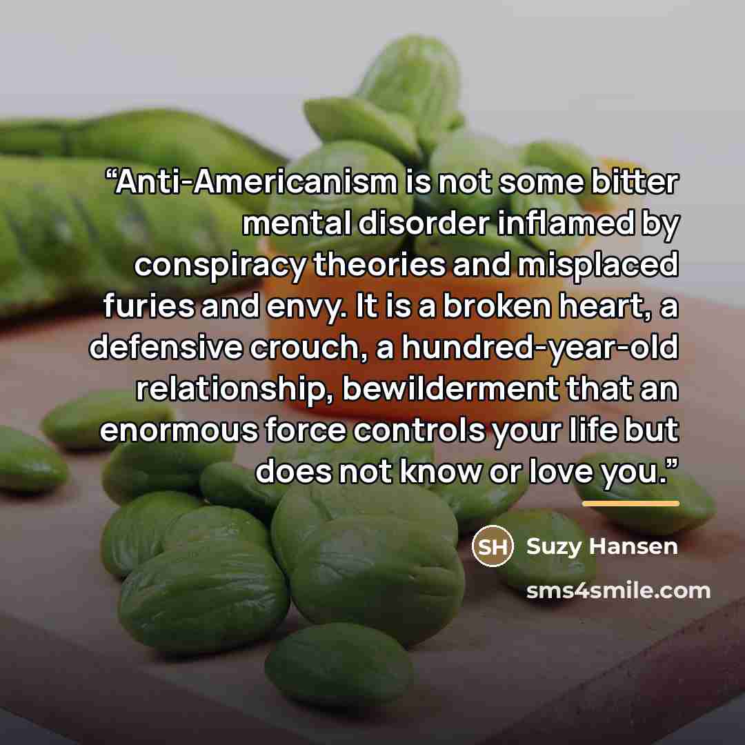 “Anti-Americanism is not some bitter mental disorder inflamed by conspiracy theories and misplaced furies and envy. It is a broken heart, a defensive crouch, a hundred-year-old relationship, bewilderment that an enormous force controls your life but does not know or love you.” quote by Suzy Hansen