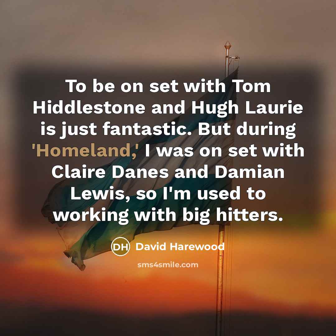 “To be on set with Tom Hiddlestone and Hugh Laurie is just fantastic. But during 'Homeland,' I was on set with Claire Danes and Damian Lewis, so I'm used to working with big hitters.” quote by David Harewood