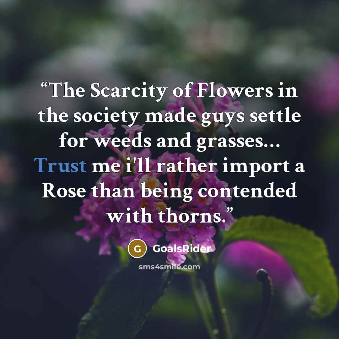 “The Scarcity of Flowers in the society made guys settle for weeds and grasses… Trust me i'll rather import a Rose than being contended with thorns.” quote by GoalsRider