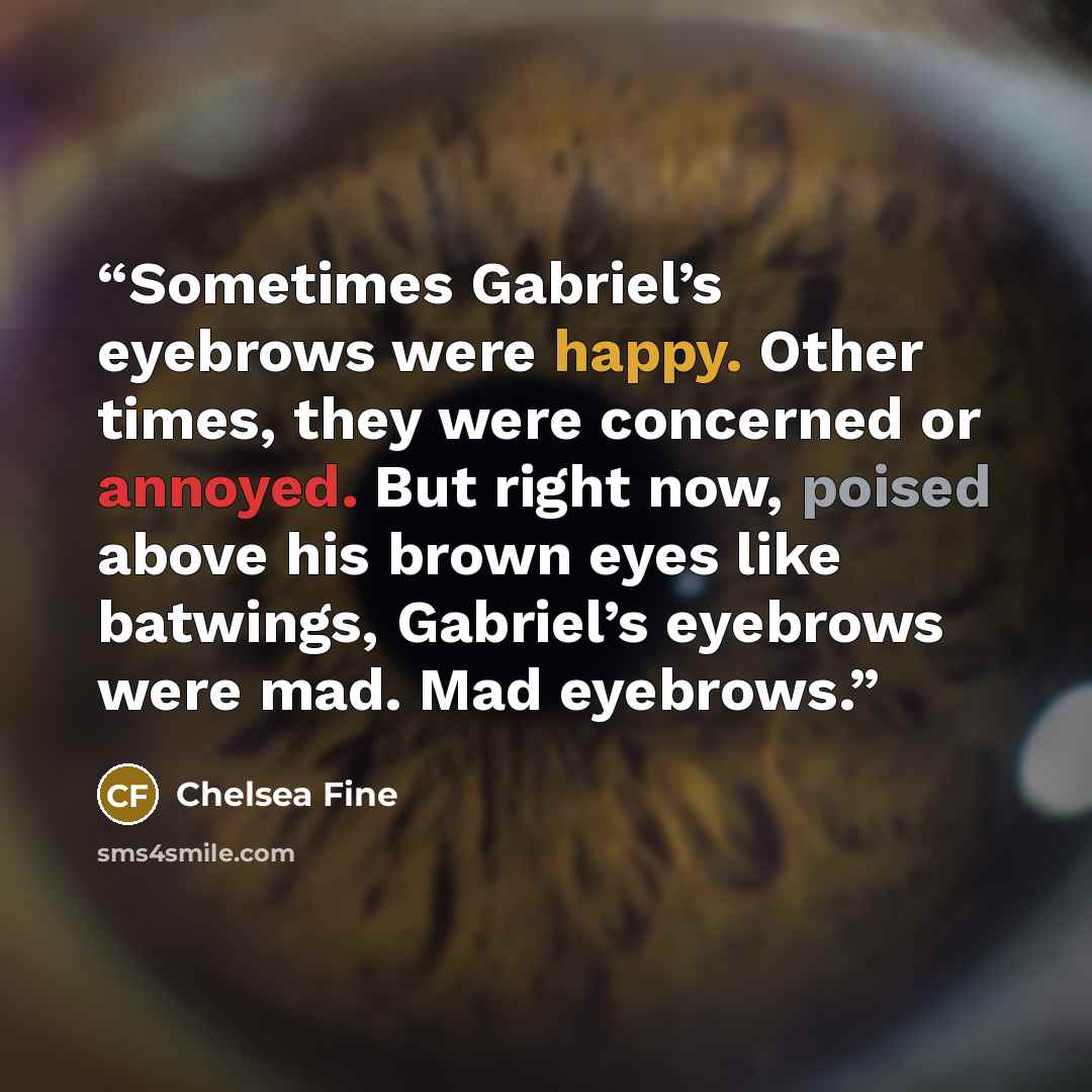 “Sometimes Gabriel’s eyebrows were happy. Other times, they were concerned or annoyed. But right now, poised above his brown eyes like batwings, Gabriel’s eyebrows were mad. Mad eyebrows.” quote by Chelsea Fine