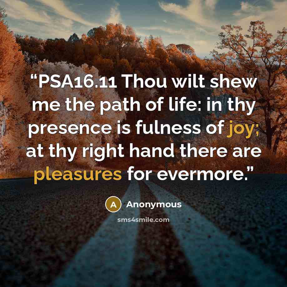 “PSA16.11 Thou wilt shew me the path of life: in thy presence is fulness of joy; at thy right hand there are pleasures for evermore.” quote by Anonymous