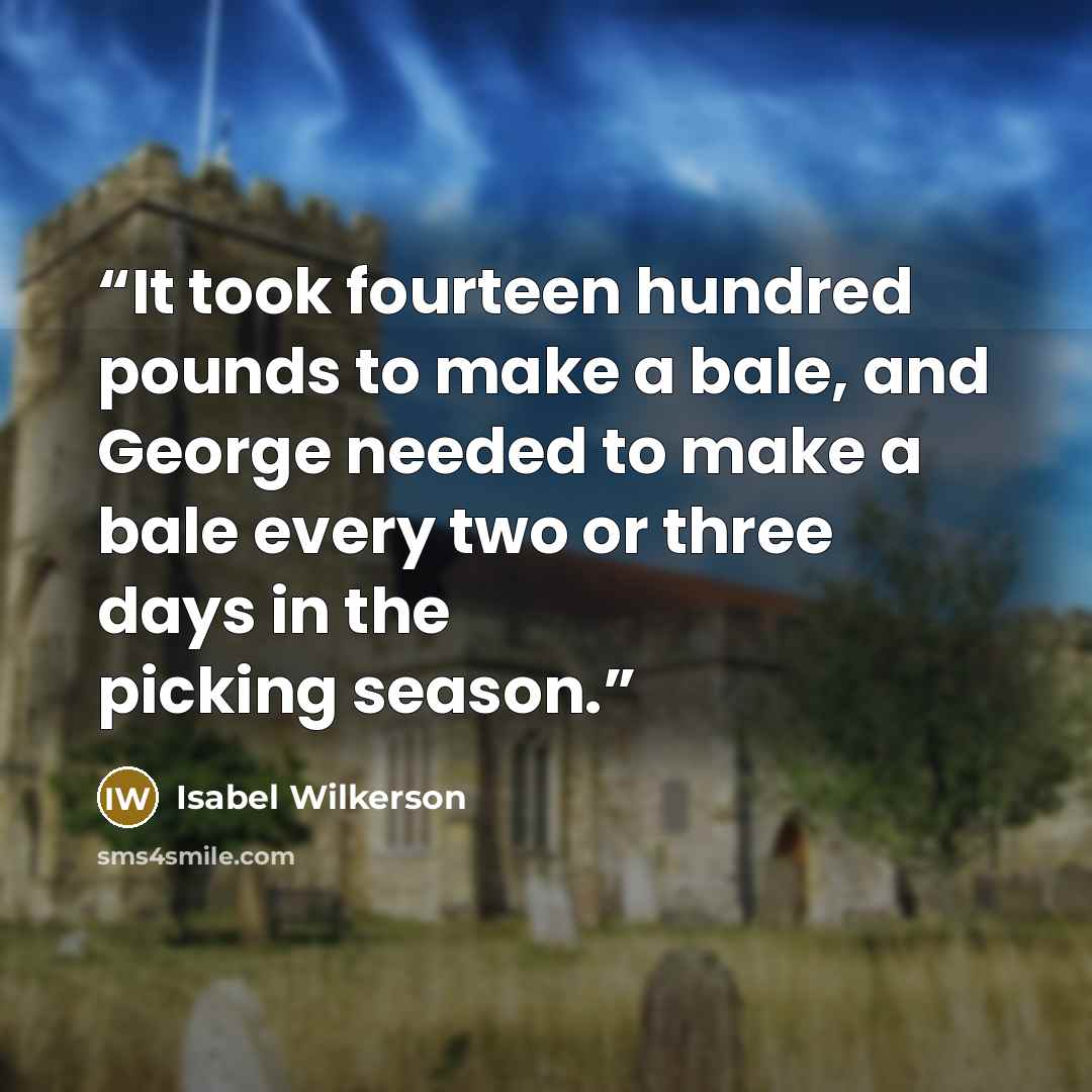“It took fourteen hundred pounds to make a bale, and George needed to make a bale every two or three days in the picking season.” quote by Isabel Wilkerson