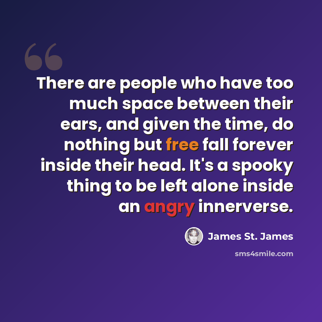 “There are people who have too much space between their ears, and given the time, do nothing but free fall forever inside their head. It's a spooky thing to be left alone inside an angry innerverse.” quote by James St. James