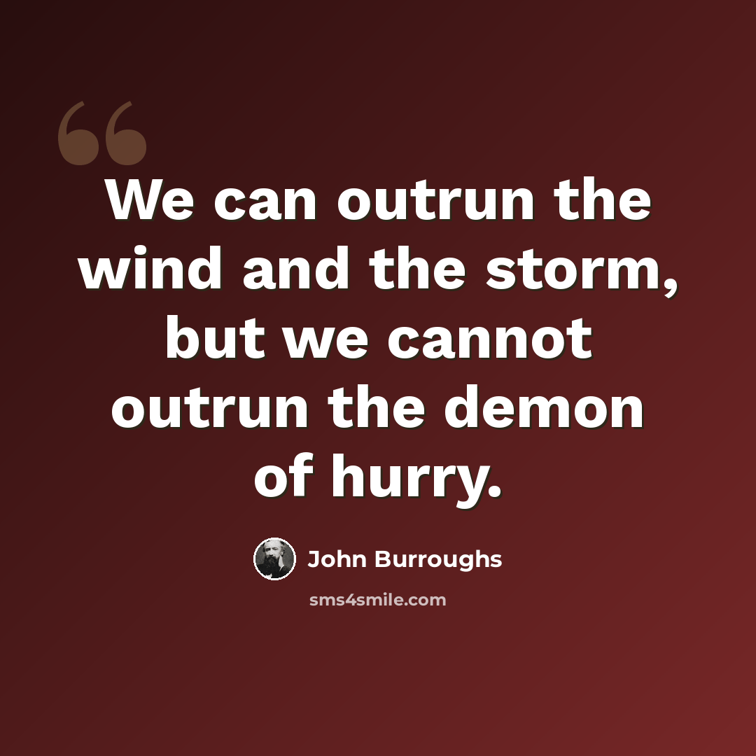 “We can outrun the wind and the storm, but we cannot outrun the demon of hurry.” quote by John Burroughs