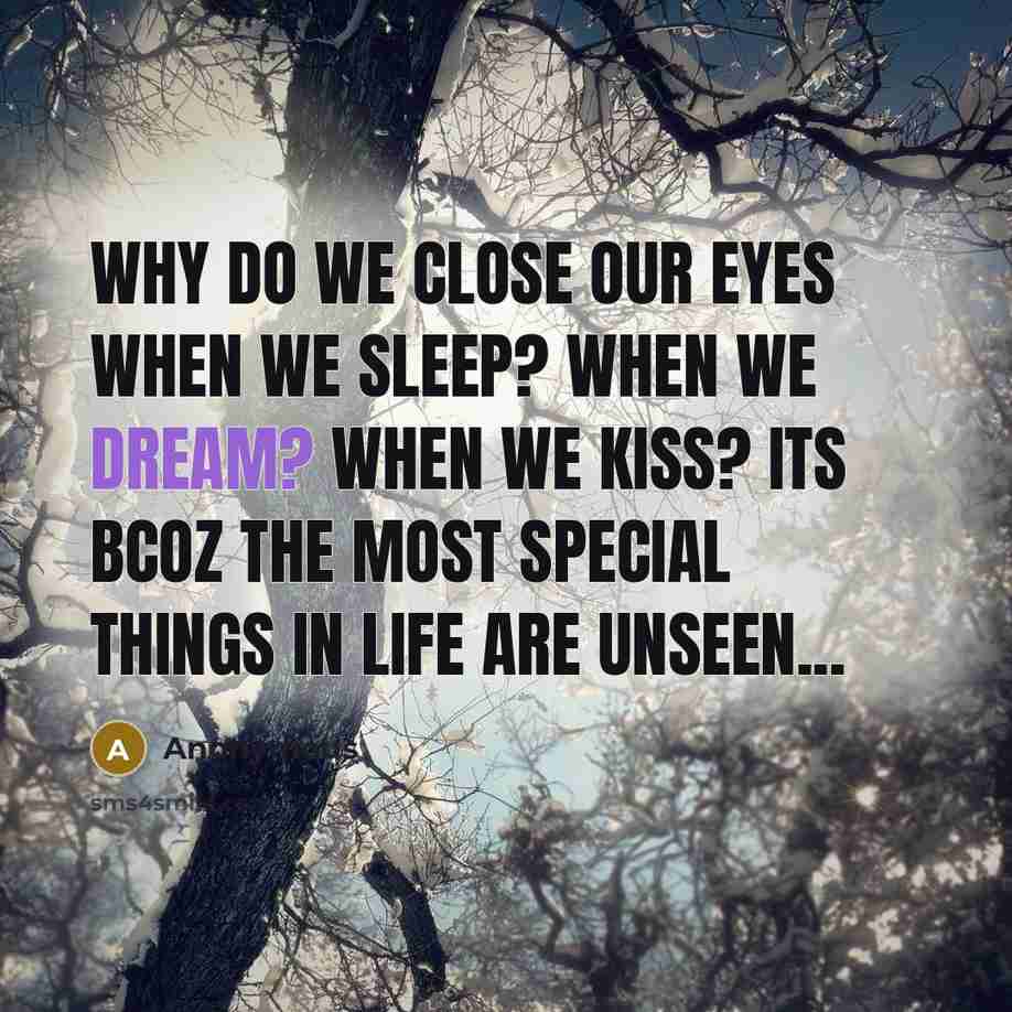 “Why do we close our eyes when we sleep? When we dream? When we kiss? Its bcoz the most special things in life are unseen...” quote by Anonymous
