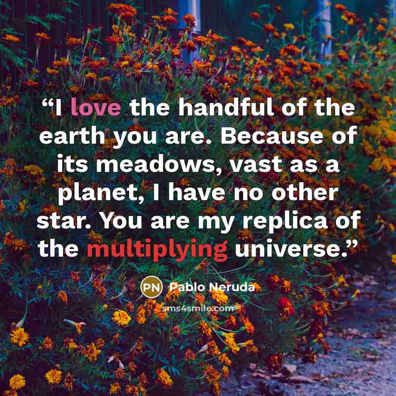 “I love the handful of the earth you are. Because of its meadows, vast as a planet, I have no other star. You are my replica of the multiplying universe.” quote by Pablo Neruda
