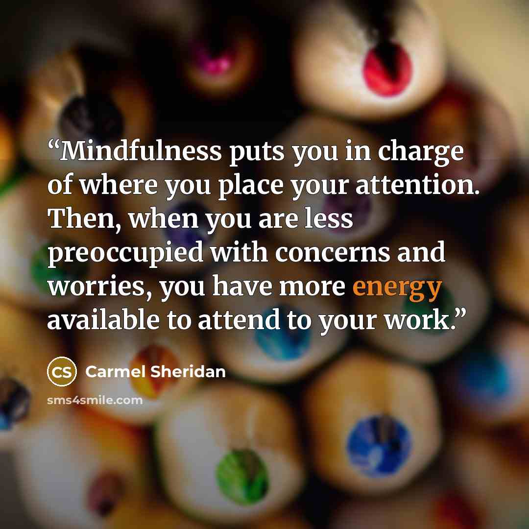 “Mindfulness puts you in charge of where you place your attention. Then, when you are less preoccupied with concerns and worries, you have more energy available to attend to your work.” quote by Carmel Sheridan