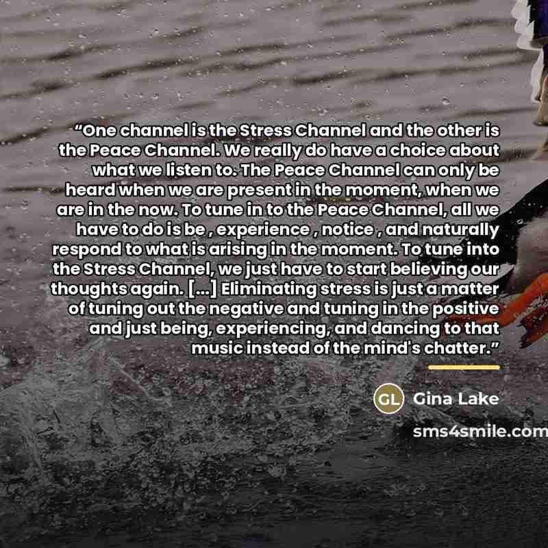 “One channel is the Stress Channel and the other is the Peace Channel. We really do have a choice about what we listen to. The Peace Channel can only be heard when we are present in the moment, when we are in the now. To tune in to the Peace Channel, all we have to do is be , experience , notice…” quote by Gina Lake