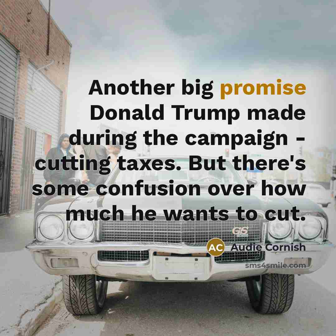 “Another big promise Donald Trump made during the campaign - cutting taxes. But there's some confusion over how much he wants to cut.” quote by Audie Cornish