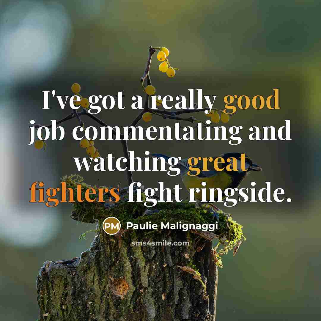 “I've got a really good job commentating and watching great fighters fight ringside.” quote by Paulie Malignaggi