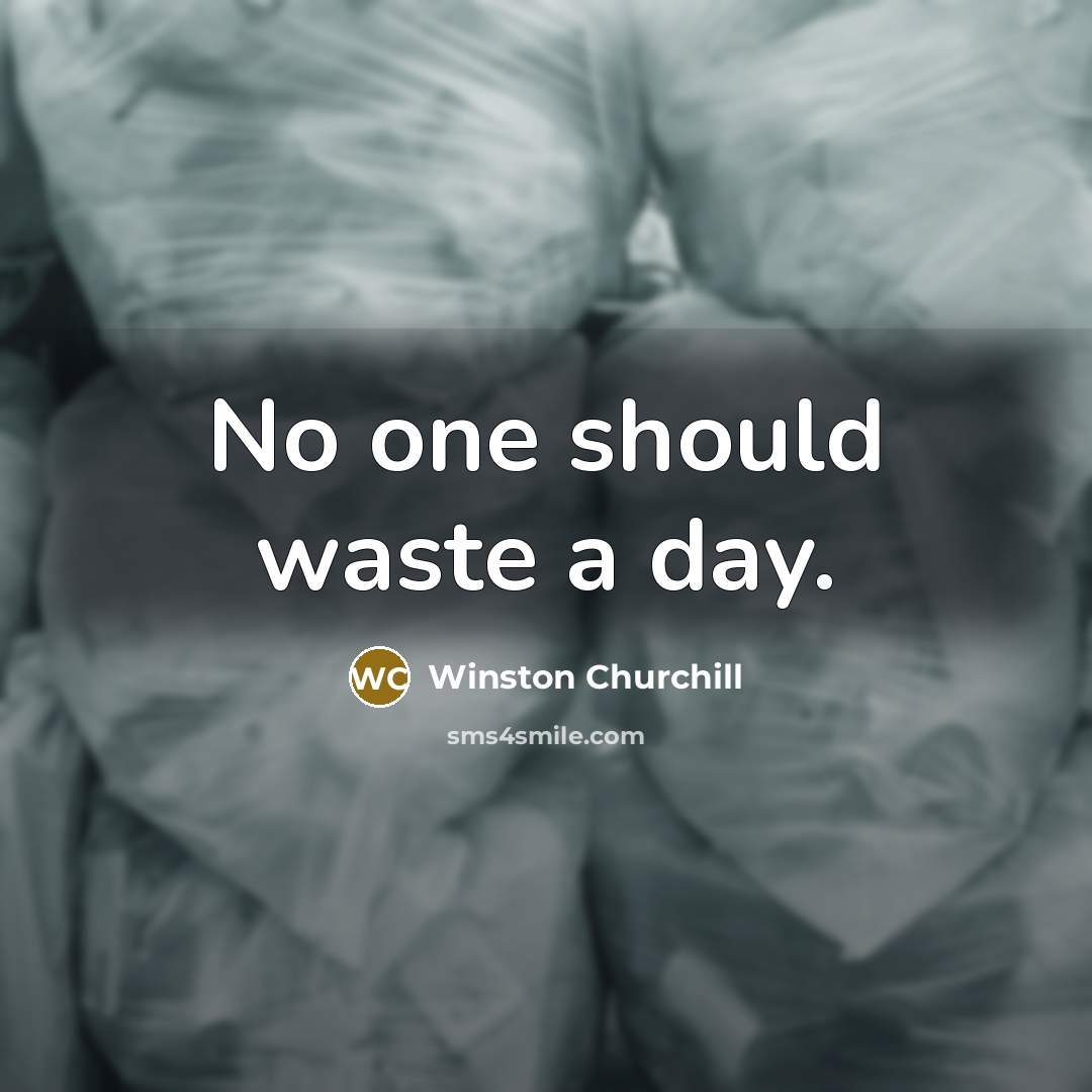 “No one should waste a day.” quote by Winston Churchill