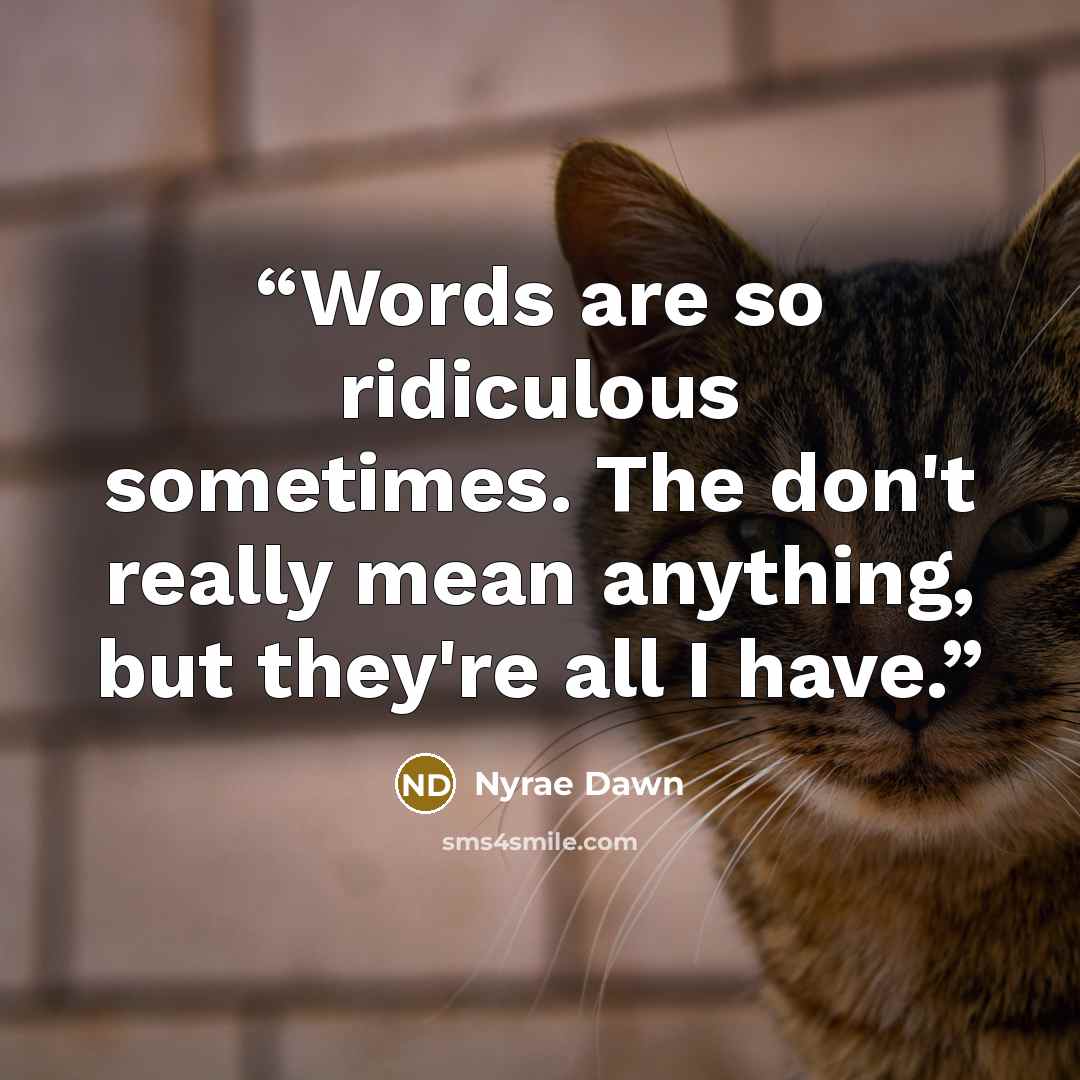 “Words are so ridiculous sometimes. The don't really mean anything, but they're all I have.” quote by Nyrae Dawn