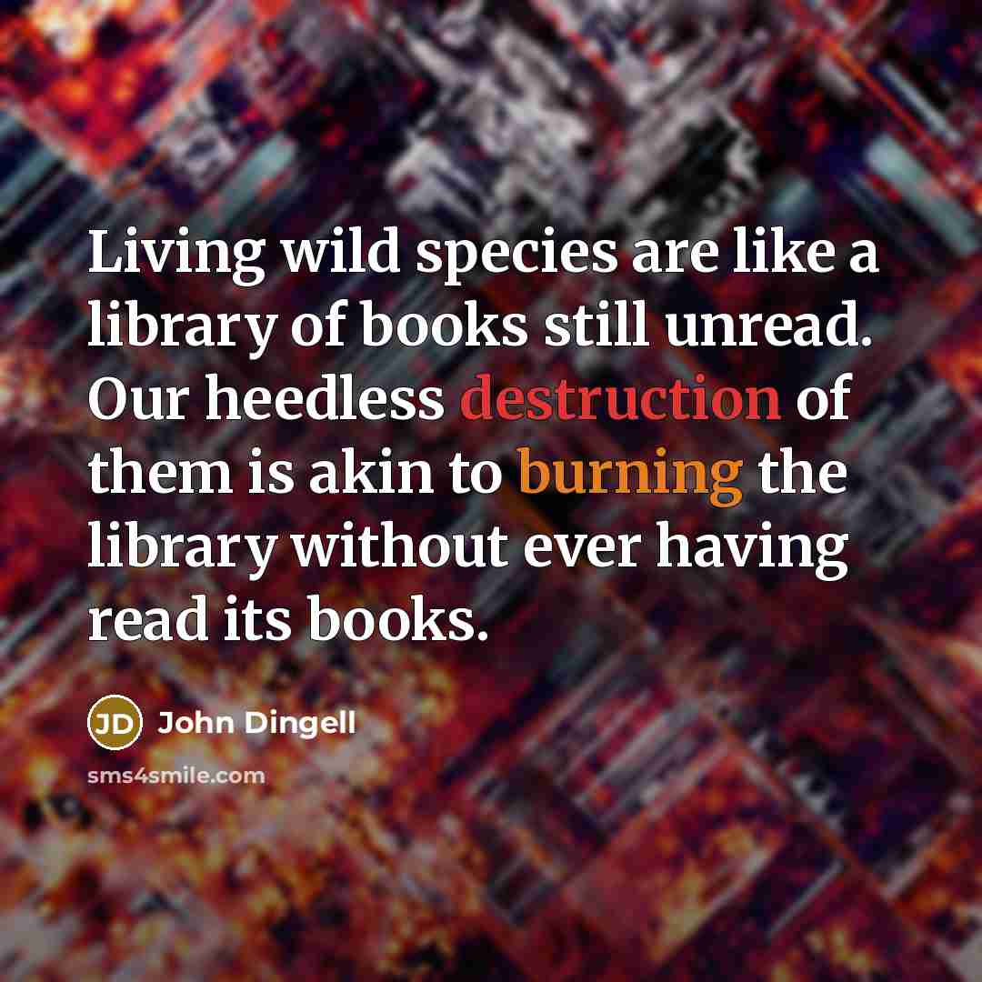 “Living wild species are like a library of books still unread. Our heedless destruction of them is akin to burning the library without ever having read its books.” quote by John Dingell
