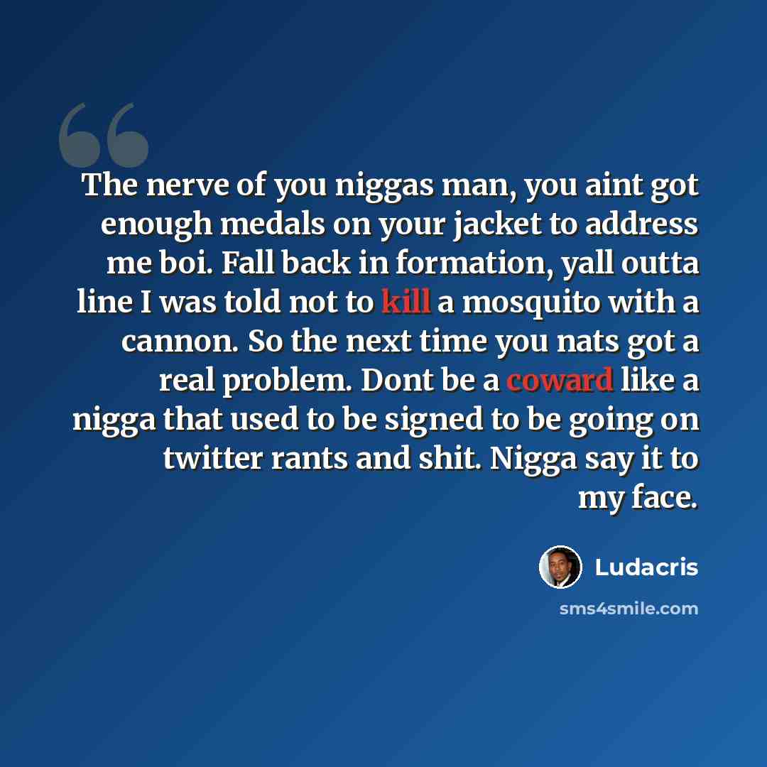 “The nerve of you niggas man, you aint got enough medals on your jacket to address me boi. Fall back in formation, yall outta line I was told not to kill a mosquito with a cannon. So the next time you nats got a real problem. Dont be a coward like a nigga that used to be signed to be going on…” quote by Ludacris