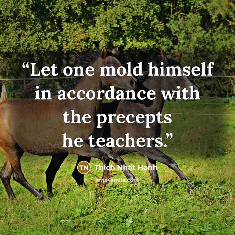 “Let one mold himself in accordance with the precepts he teachers.” quote by Thích Nhất Hạnh