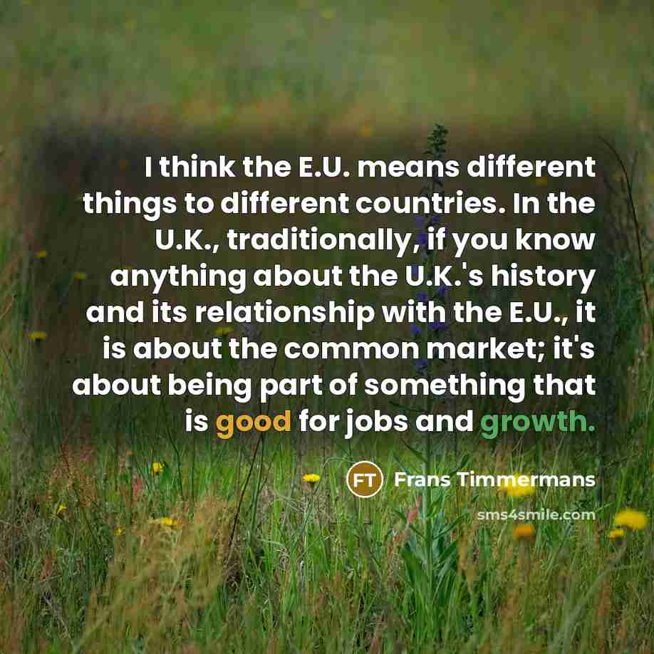 “I think the E.U. means different things to different countries. In the U.K., traditionally, if you know anything about the U.K.'s history and its relationship with the E.U., it is about the common market; it's about being part of something that is good for jobs and growth.” quote by Frans Timmermans