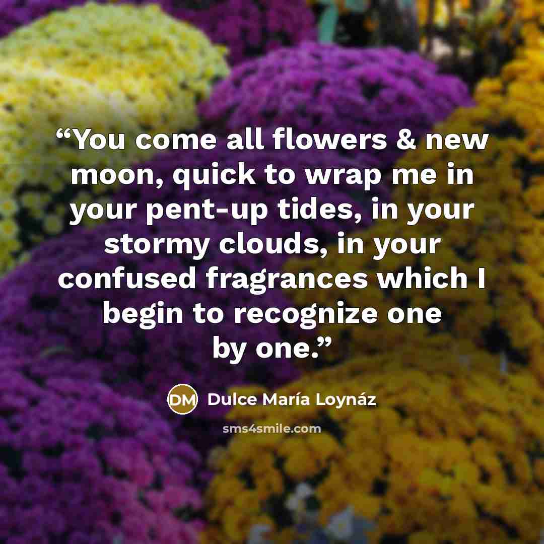 “You come all flowers & new moon, quick to wrap me in your pent-up tides, in your stormy clouds, in your confused fragrances which I begin to recognize one by one.” quote by Dulce María Loynáz