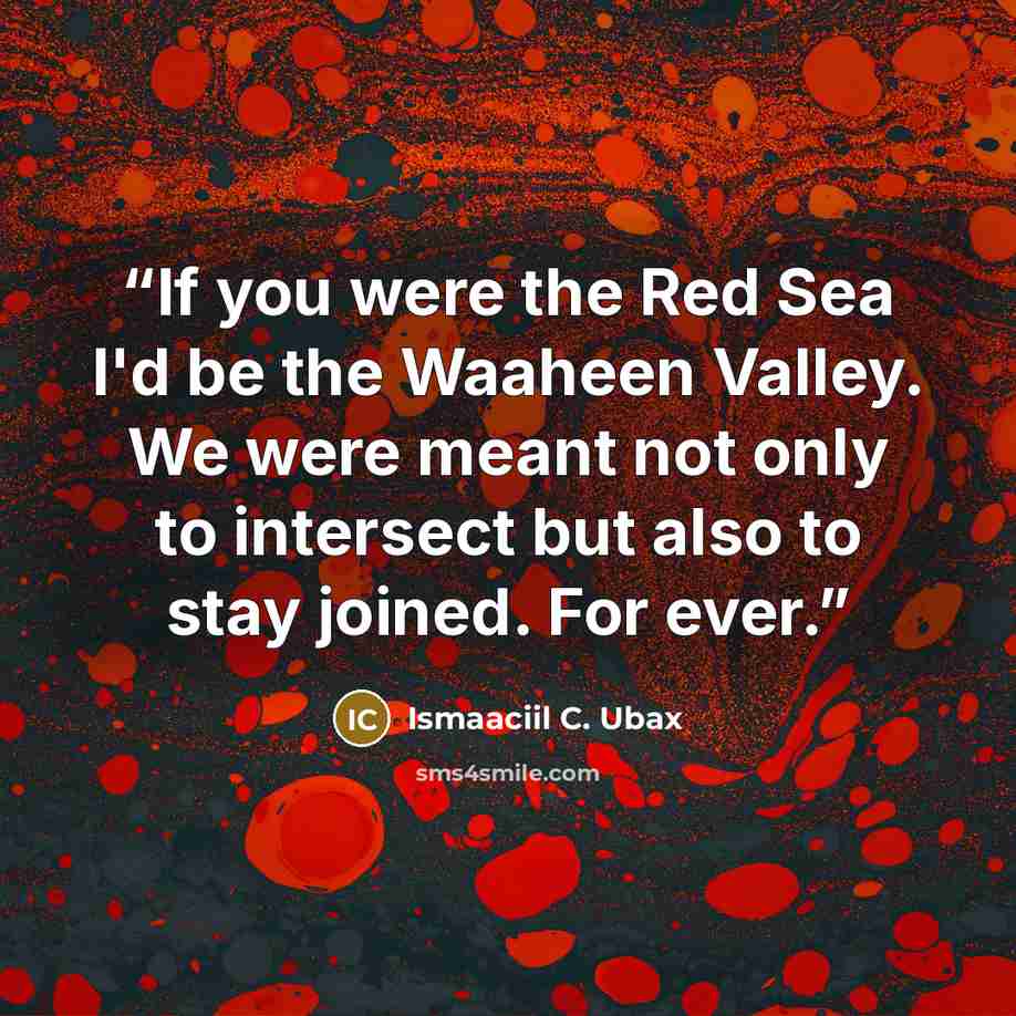 “If you were the Red Sea I'd be the Waaheen Valley. We were meant not only to intersect but also to stay joined. For ever.” quote by Ismaaciil C. Ubax