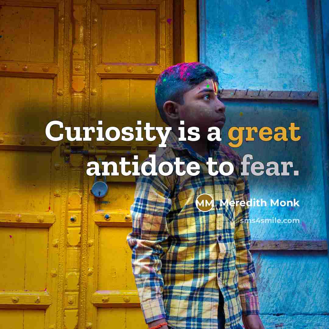 “Curiosity is a great antidote to fear.” quote by Meredith Monk