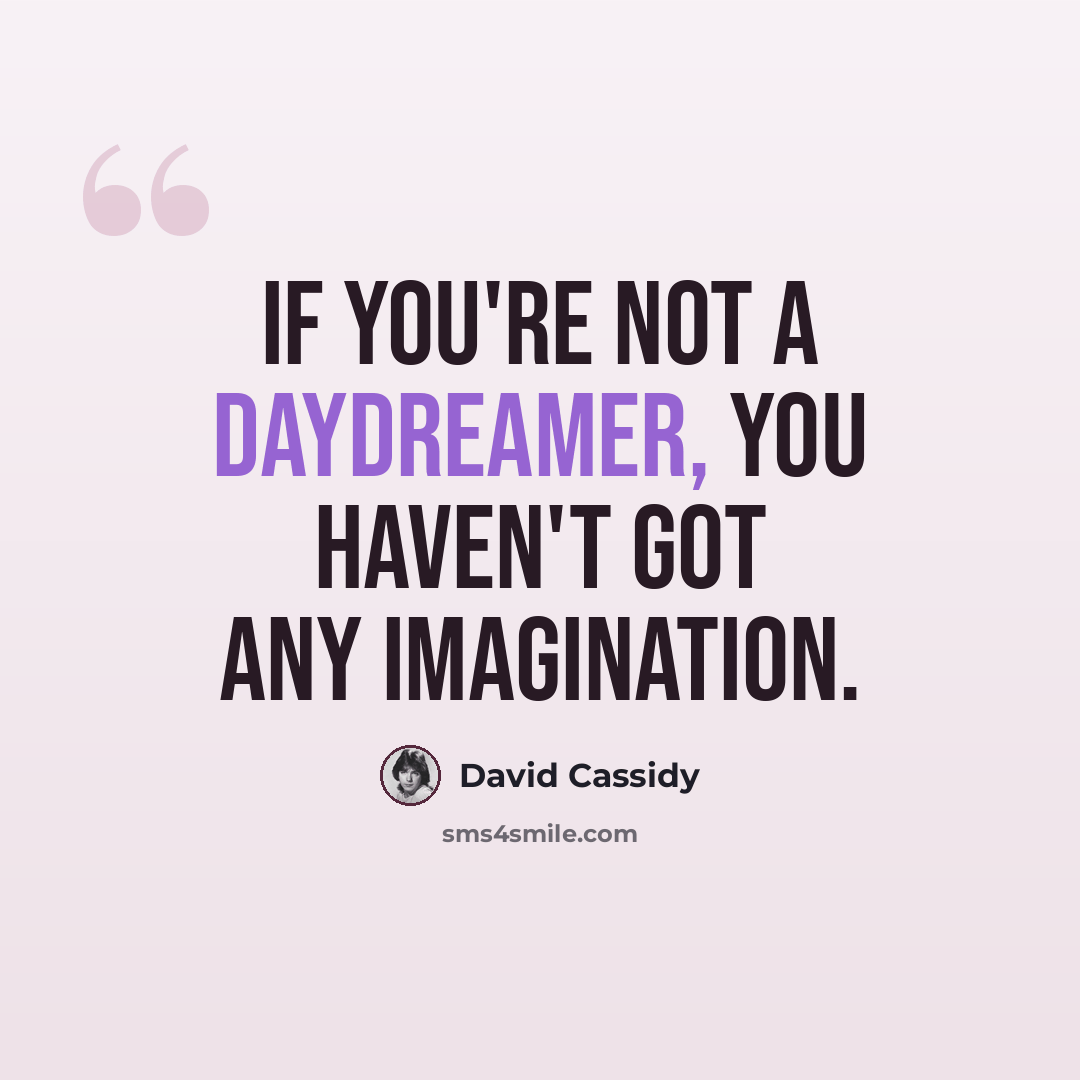 “If you're not a daydreamer, you haven't got any imagination.” quote by David Cassidy