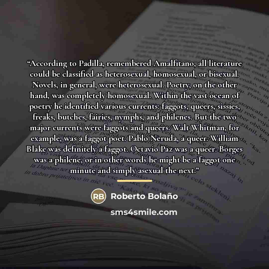 “According to Padilla, remembered Amalfitano, all literature could be classified as heterosexual, homosexual, or bisexual. Novels, in general, were heterosexual. Poetry, on the other hand, was completely homosexual. Within the vast ocean of poetry he identified various currents: faggots, queers…” quote by Roberto Bolaño